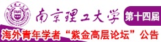 日大骚逼网站南京理工大学第十四届海外青年学者紫金论坛诚邀海内外英才！